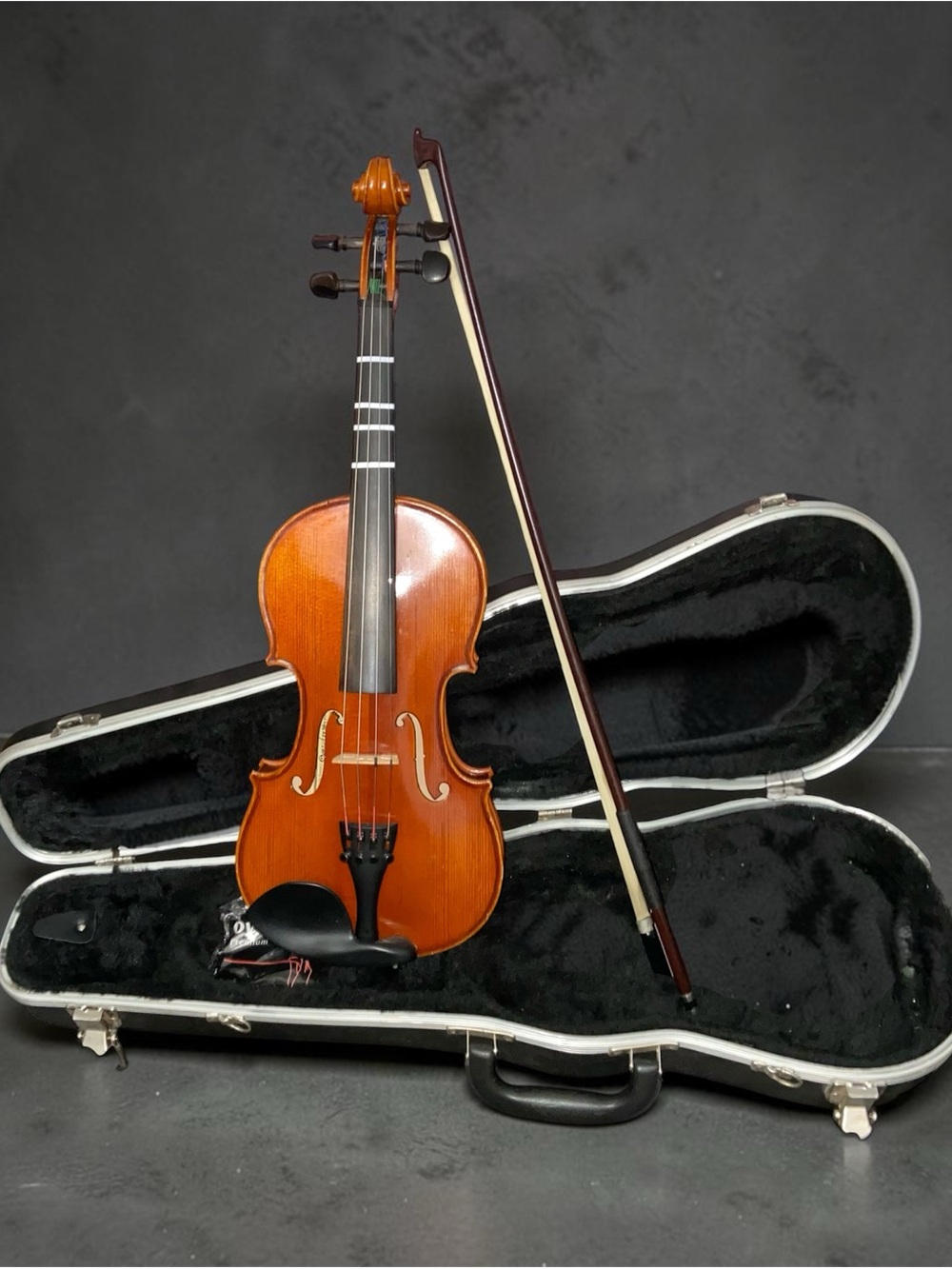 Eastman Strings Strobel ML-80 Violin 1/2 Sz Hardcase, Glasser Bow, Rosin Strings